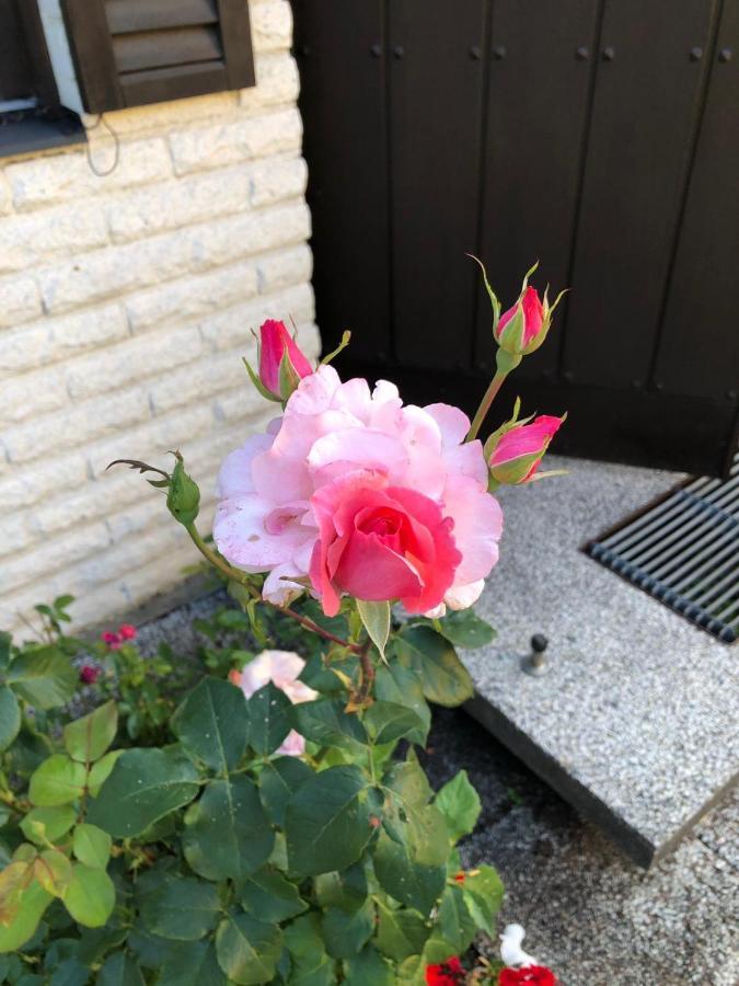 Anitas B&B Stockholm/Vaellingby Экстерьер фото